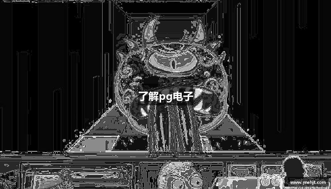 了解pg电子