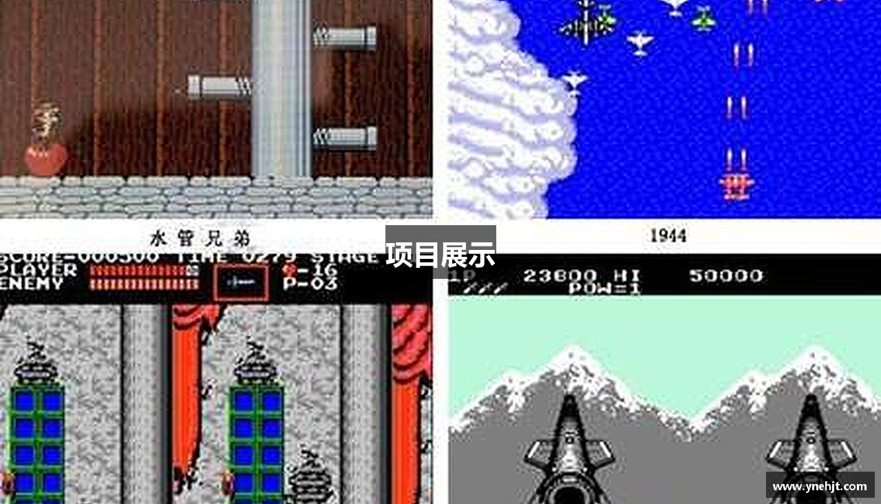 项目展示